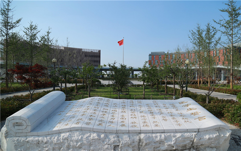 乡村：卖出土特产 网购新鲜货